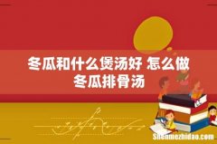 冬瓜和什么煲汤好 怎么做冬瓜排骨汤