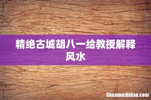 精绝古城胡八一给教授解释风水