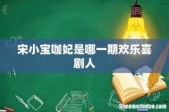 宋小宝咖妃是哪一期欢乐喜剧人