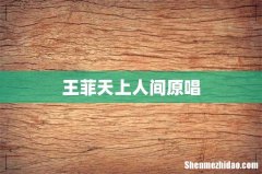 王菲天上人间原唱