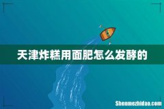天津炸糕用面肥怎么发酵的