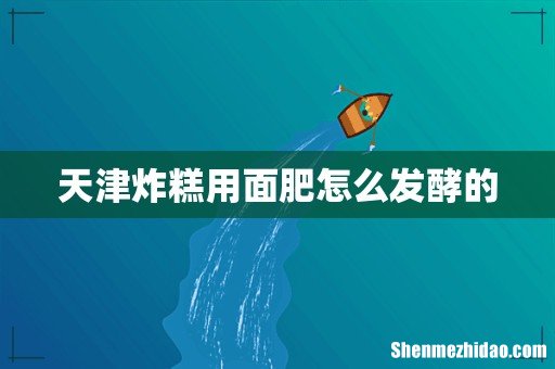天津炸糕用面肥怎么发酵的