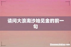请问大浪淘沙始见金的前一句