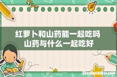 红萝卜和山药能一起吃吗 山药与什么一起吃好