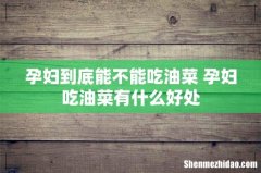 孕妇到底能不能吃油菜 孕妇吃油菜有什么好处