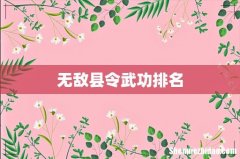 无敌县令武功排名