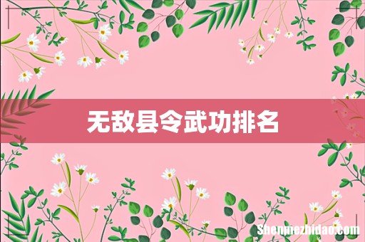 无敌县令武功排名