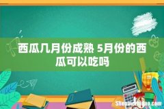西瓜几月份成熟 5月份的西瓜可以吃吗