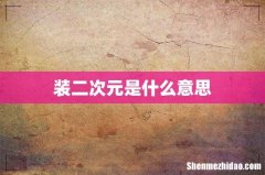 装二次元是什么意思