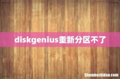 diskgenius重新分区不了