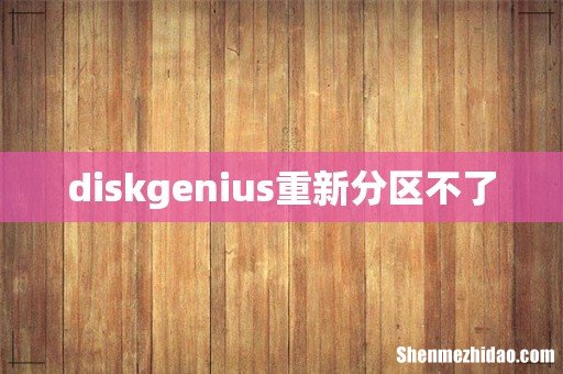diskgenius重新分区不了