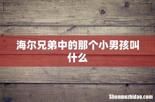 海尔兄弟中的那个小男孩叫什么