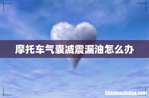 摩托车气囊减震漏油怎么办