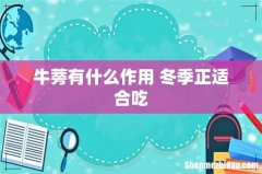 牛蒡有什么作用 冬季正适合吃