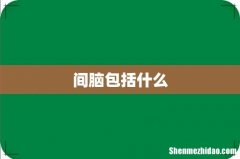 间脑包括什么