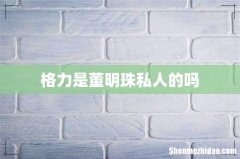 格力是董明珠私人的吗