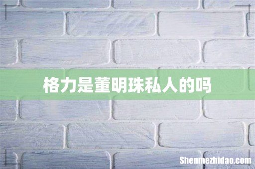 格力是董明珠私人的吗