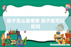茄子怎么看老嫩 茄子皮可以吃吗