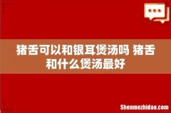 猪舌可以和银耳煲汤吗 猪舌和什么煲汤最好