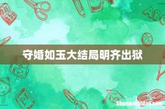守婚如玉大结局明齐出狱