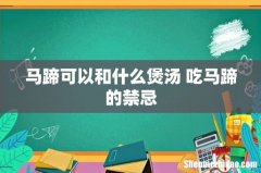 马蹄可以和什么煲汤 吃马蹄的禁忌