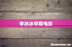 李冰冰早期电影