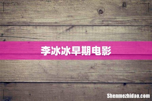 李冰冰早期电影