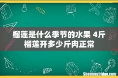 榴莲是什么季节的水果 4斤榴莲开多少斤肉正常