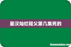 星汉灿烂程父第几集死的
