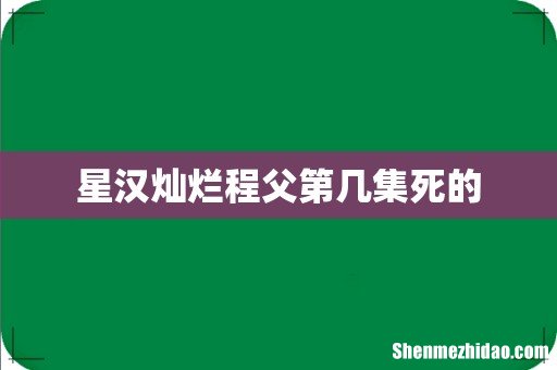 星汉灿烂程父第几集死的