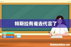 特斯拉有谁去代言了