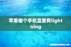苹果哪个手机盒里有lightning