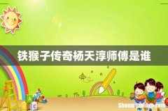 铁猴子传奇杨天淳师傅是谁