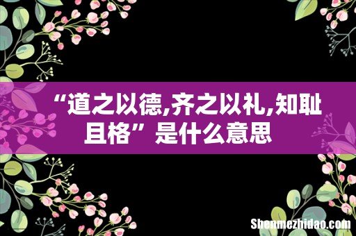 “道之以德,齐之以礼,知耻且格”是什么意思