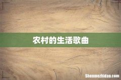 农村的生活歌曲