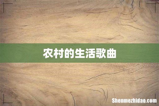 农村的生活歌曲