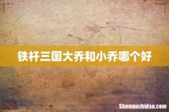 铁杆三国大乔和小乔哪个好