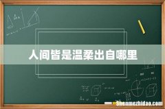人间皆是温柔出自哪里