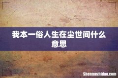 我本一俗人生在尘世间什么意思