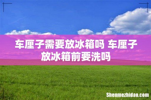 车厘子需要放冰箱吗 车厘子放冰箱前要洗吗