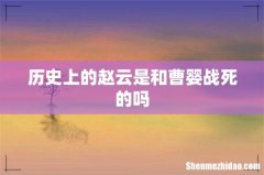 历史上的赵云是和曹婴战死的吗