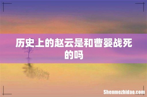 历史上的赵云是和曹婴战死的吗