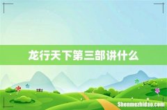 龙行天下第三部讲什么