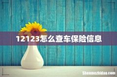 12123怎么查车保险信息
