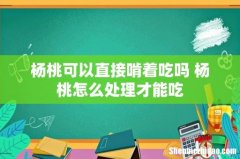 杨桃可以直接啃着吃吗 杨桃怎么处理才能吃