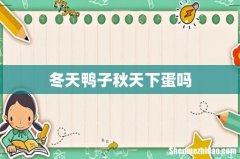 冬天鸭子秋天下蛋吗