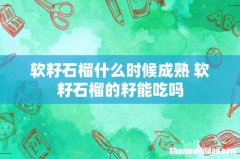 软籽石榴什么时候成熟 软籽石榴的籽能吃吗