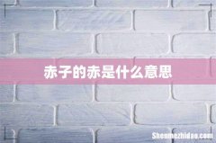 赤子的赤是什么意思