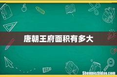 唐朝王府面积有多大