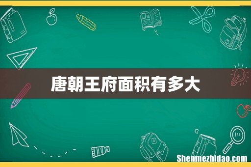 唐朝王府面积有多大